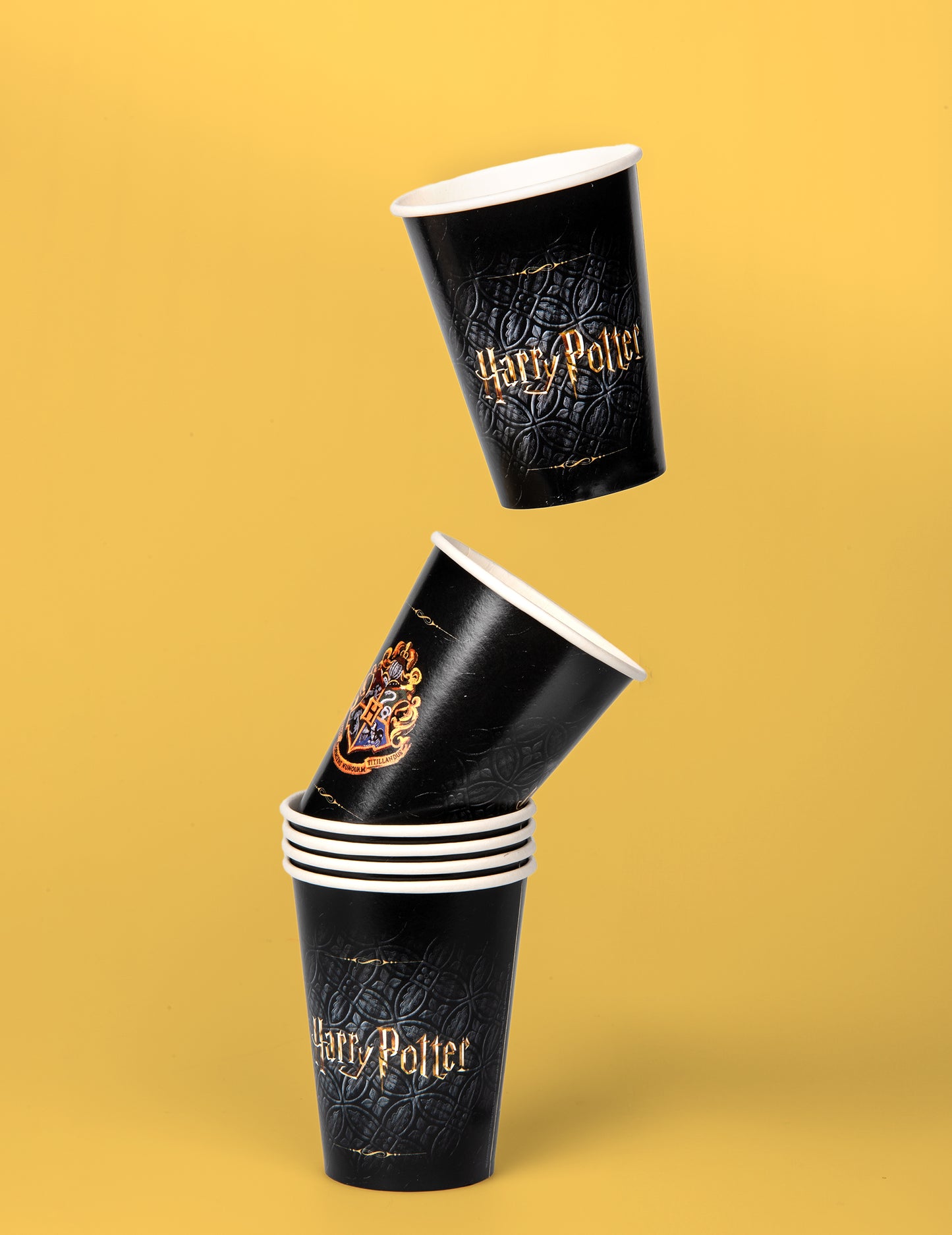 8 karton skodelic FSC Harry Potter 210 ml