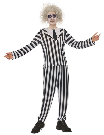 Standardni kostum za odrasle Beetlejuice