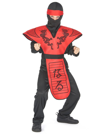 Ninja Dragon Boy Dragon Costume