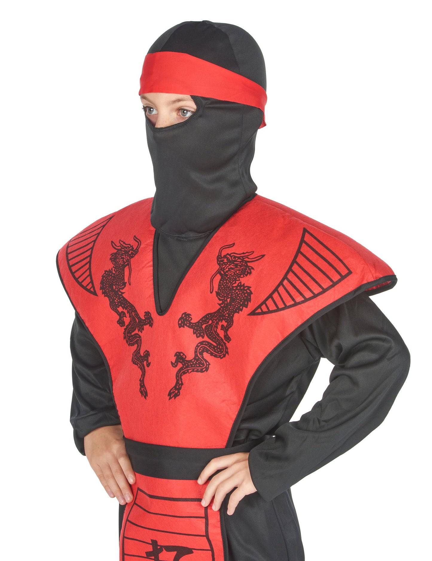 Ninja Dragon Boy Dragon Costume