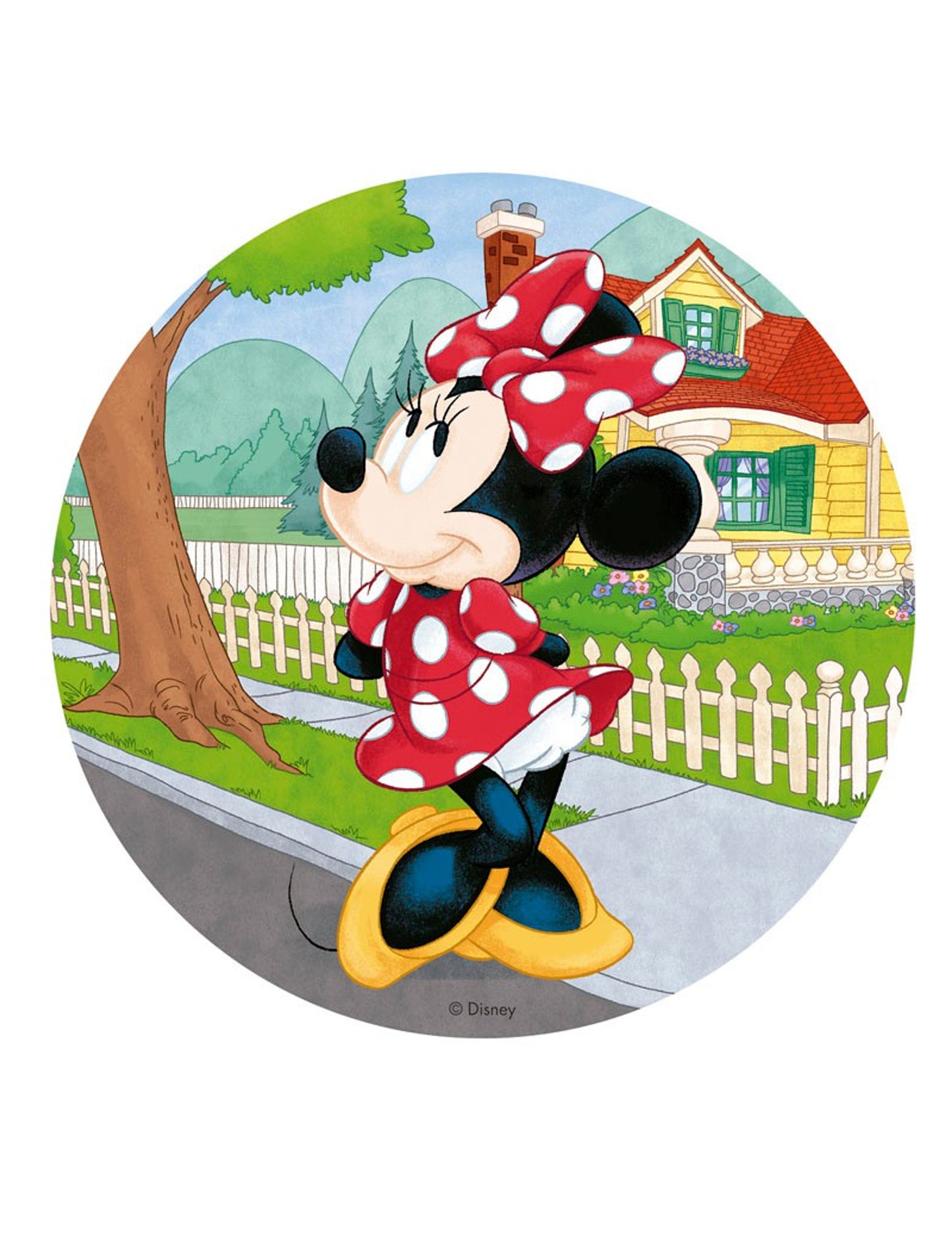 Minnie 20 cm azmimski disk