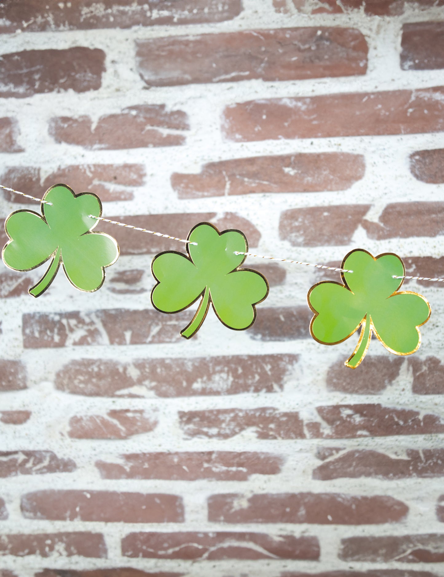 Garland Très Saint Patrick 2 M