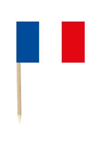 Set 50 Mini-Piques France Flags